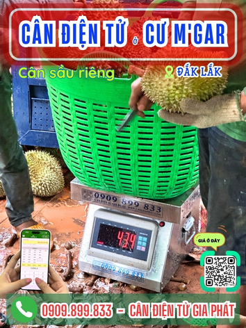 C&acirc;n điện tử ở Cư Mgar Đắk Lắk - C&acirc;n Gia Ph&aacute;t