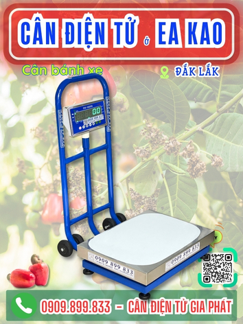 C&acirc;n điện tử ở Ea Kao Đắk Lắk - C&acirc;n Gia Ph&aacute;t