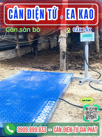 C&acirc;n điện tử ở Ea Kao Đắk Lắk - C&acirc;n Gia Ph&aacute;t