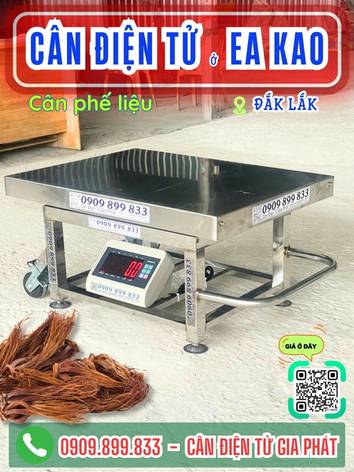C&acirc;n điện tử ở Ea Kao Đắk Lắk - C&acirc;n Gia Ph&aacute;t