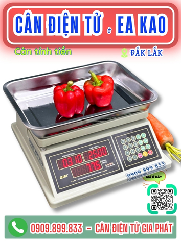 C&acirc;n điện tử ở Ea Kao Đắk Lắk - C&acirc;n Gia Ph&aacute;t