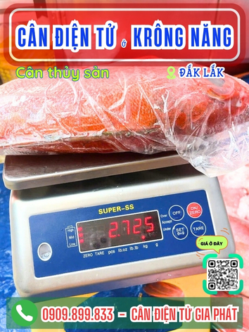 C&acirc;n điện tử ở Kr&ocirc;ng Năng Đắk Lắk - C&acirc;n Gia Ph&aacute;t