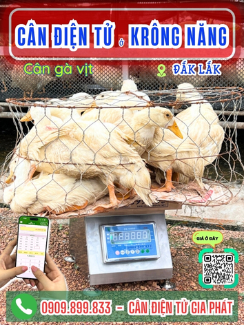 C&acirc;n điện tử ở Kr&ocirc;ng Năng Đắk Lắk - C&acirc;n Gia Ph&aacute;t