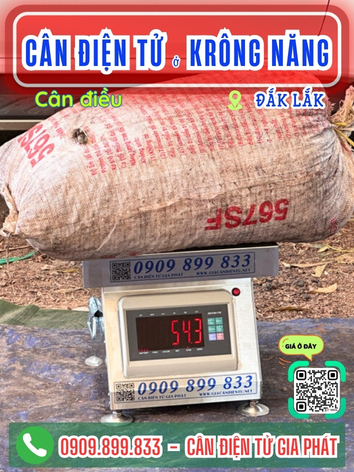 C&acirc;n điện tử ở Kr&ocirc;ng Năng Đắk Lắk - C&acirc;n Gia Ph&aacute;t