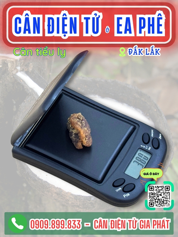 C&acirc;n điện tử ở Ea Ph&ecirc; Đắk Lắk - C&acirc;n Gia Ph&aacute;t