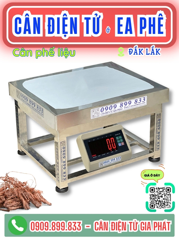 C&acirc;n điện tử ở Ea Ph&ecirc; Đắk Lắk - C&acirc;n Gia Ph&aacute;t