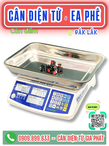 C&acirc;n điện tử ở Ea Ph&ecirc; Đắk Lắk - C&acirc;n Gia Ph&aacute;t