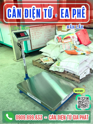 C&acirc;n điện tử ở Ea Ph&ecirc; Đắk Lắk - C&acirc;n Gia Ph&aacute;t