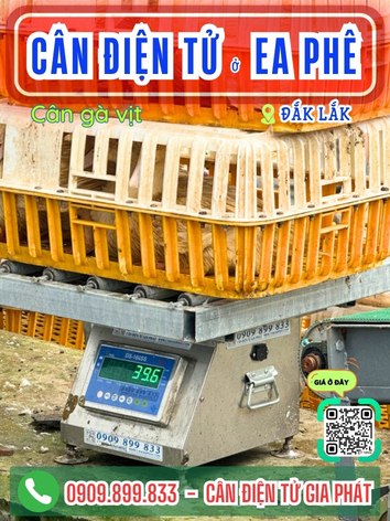 C&acirc;n điện tử ở Ea Ph&ecirc; Đắk Lắk - C&acirc;n Gia Ph&aacute;t