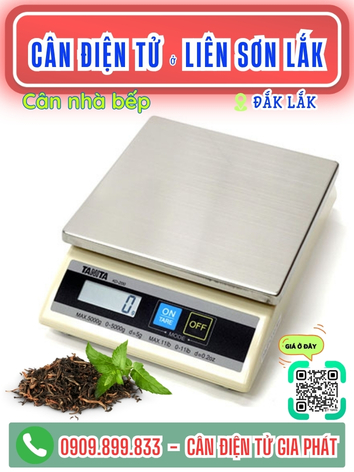 C&acirc;n điện tử ở Li&ecirc;n Sơn Lắk Đắk Lắk - C&acirc;n Gia Ph&aacute;t