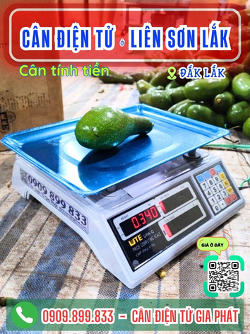 C&acirc;n điện tử ở Li&ecirc;n Sơn Lắk Đắk Lắk - C&acirc;n Gia Ph&aacute;t