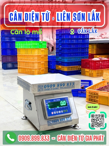 C&acirc;n điện tử ở Li&ecirc;n Sơn Lắk Đắk Lắk - C&acirc;n Gia Ph&aacute;t