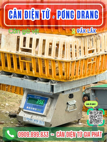 C&acirc;n điện tử ở Pơng Drang Đắk Lắk - C&acirc;n Gia Ph&aacute;t