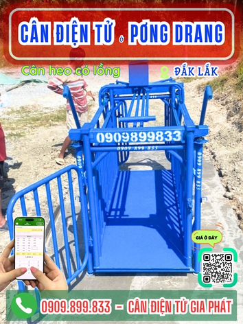 C&acirc;n điện tử ở Pơng Drang Đắk Lắk - C&acirc;n Gia Ph&aacute;t