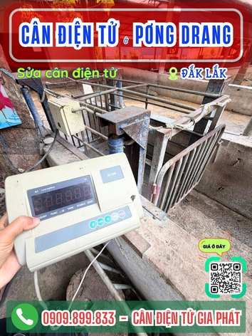 C&acirc;n điện tử ở Pơng Drang Đắk Lắk - C&acirc;n Gia Ph&aacute;t