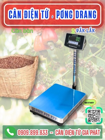 Cân điện tử ở xã Pơng Drang Đắk Lắk