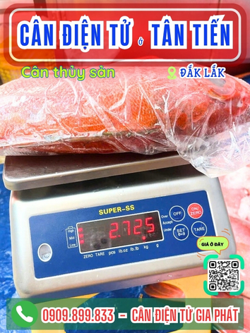 Cân điện tử ở Tân Tiến Đắk Lắk - Cân Gia Phát