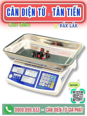 Cân điện tử ở Tân Tiến Đắk Lắk - Cân Gia Phát