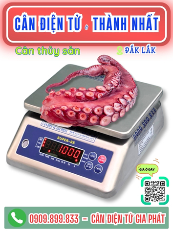 C&acirc;n điện tử ở Th&agrave;nh Nhất Đắk Lắk - C&acirc;n Gia Ph&aacute;t