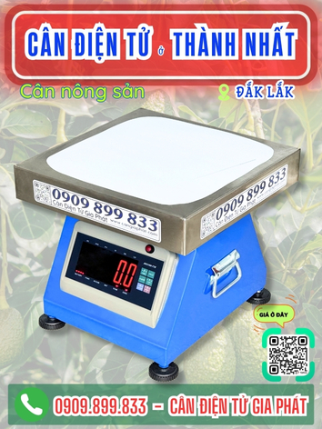 C&acirc;n điện tử ở Th&agrave;nh Nhất Đắk Lắk - C&acirc;n Gia Ph&aacute;t