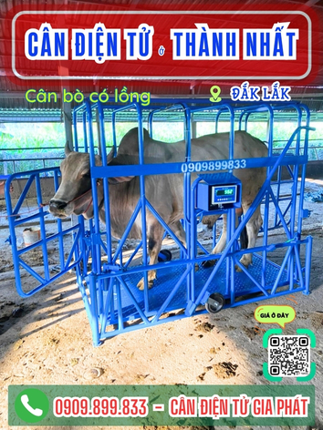 C&acirc;n điện tử ở Th&agrave;nh Nhất Đắk Lắk - C&acirc;n Gia Ph&aacute;t