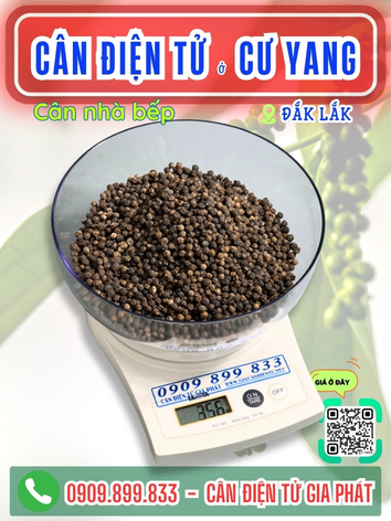 C&acirc;n điện tử ở Cư Yang Đắk Lắk - C&acirc;n Gia Ph&aacute;t