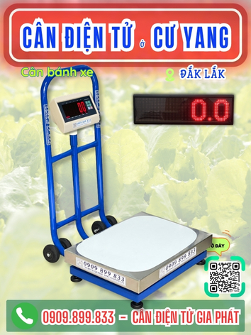 C&acirc;n điện tử ở Cư Yang Đắk Lắk - C&acirc;n Gia Ph&aacute;t