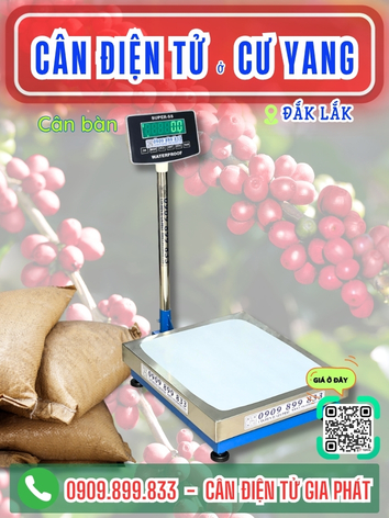 C&acirc;n điện tử ở Cư Yang Đắk Lắk - C&acirc;n Gia Ph&aacute;t