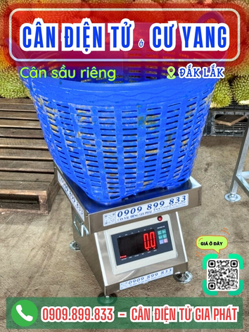 C&acirc;n điện tử ở Cư Yang Đắk Lắk - C&acirc;n Gia Ph&aacute;t