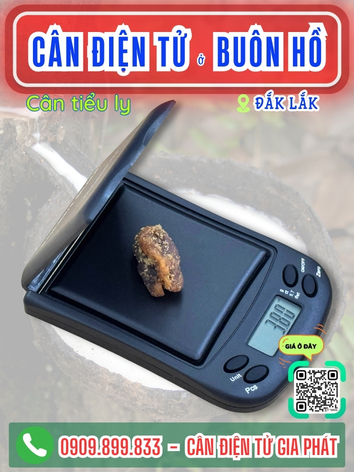 C&acirc;n điện tử ở Bu&ocirc;n Hồ Đắk Lắk - C&acirc;n Gia Ph&aacute;t