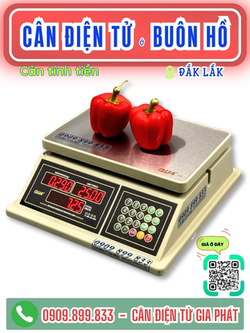 C&acirc;n điện tử ở Bu&ocirc;n Hồ Đắk Lắk - C&acirc;n Gia Ph&aacute;t