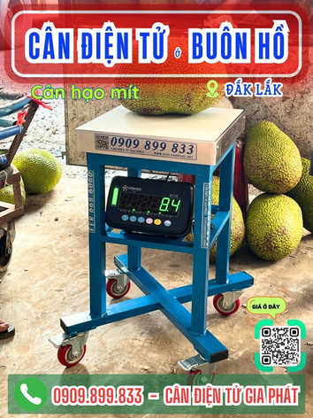 C&acirc;n điện tử ở Bu&ocirc;n Hồ Đắk Lắk - C&acirc;n Gia Ph&aacute;t