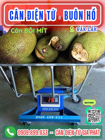 C&acirc;n điện tử ở Bu&ocirc;n Hồ Đắk Lắk - C&acirc;n Gia Ph&aacute;t