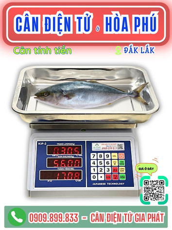 Cân điện tử ở Hòa Phú Đắk Lắk - Cân Gia Phát