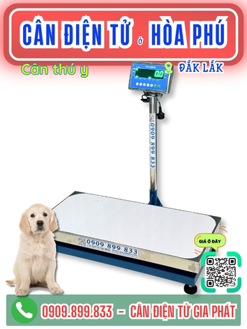 Cân điện tử ở Hòa Phú Đắk Lắk - Cân Gia Phát