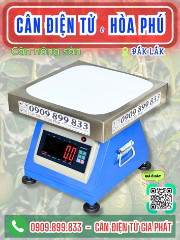 Cân điện tử ở Hòa Phú Đắk Lắk - Cân Gia Phát