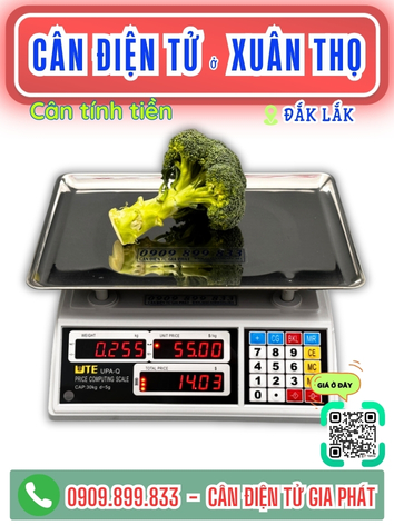 C&acirc;n điện tử ở Xu&acirc;n Thọ Đắk Lắk - C&acirc;n Gia Ph&aacute;t