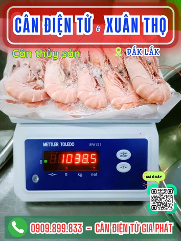 C&acirc;n điện tử ở Xu&acirc;n Thọ Đắk Lắk - C&acirc;n Gia Ph&aacute;t