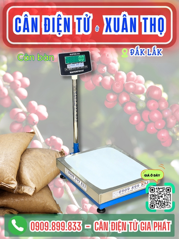 C&acirc;n điện tử ở Xu&acirc;n Thọ Đắk Lắk - C&acirc;n Gia Ph&aacute;t