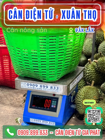 C&acirc;n điện tử ở Xu&acirc;n Thọ Đắk Lắk - C&acirc;n Gia Ph&aacute;t